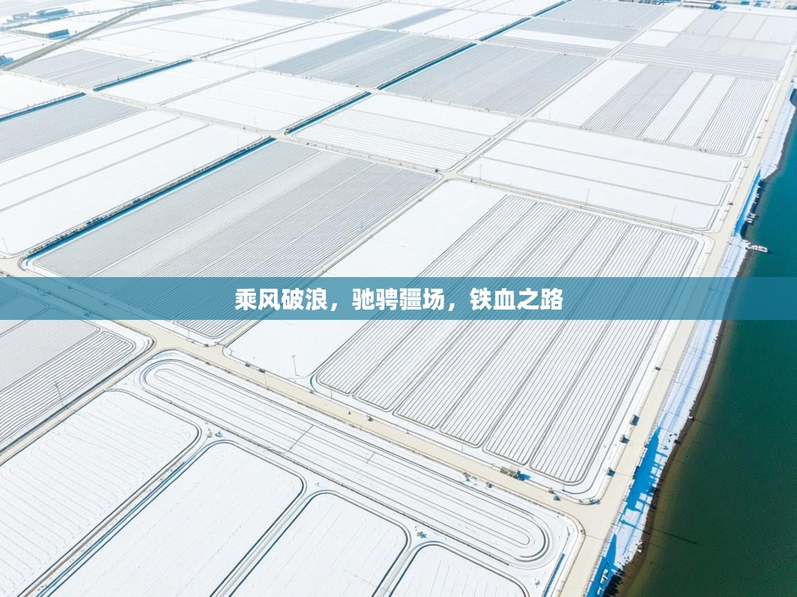 乘风破浪,驰骋疆场,铁血之路 第2张