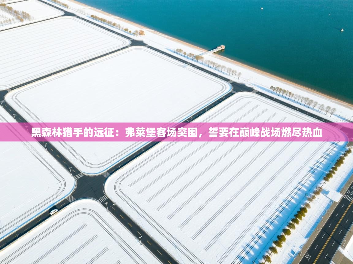 黑森林猎手的远征：弗莱堡客场突围，誓要在巅峰战场燃尽热血  第2张