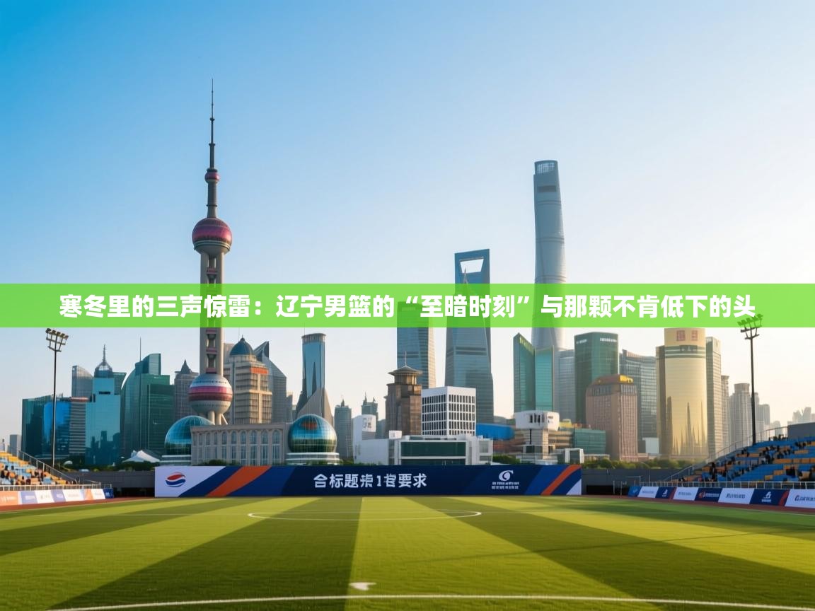 寒冬里的三声惊雷:辽宁男篮的“至暗时刻”与那颗不肯低下的头 第1张