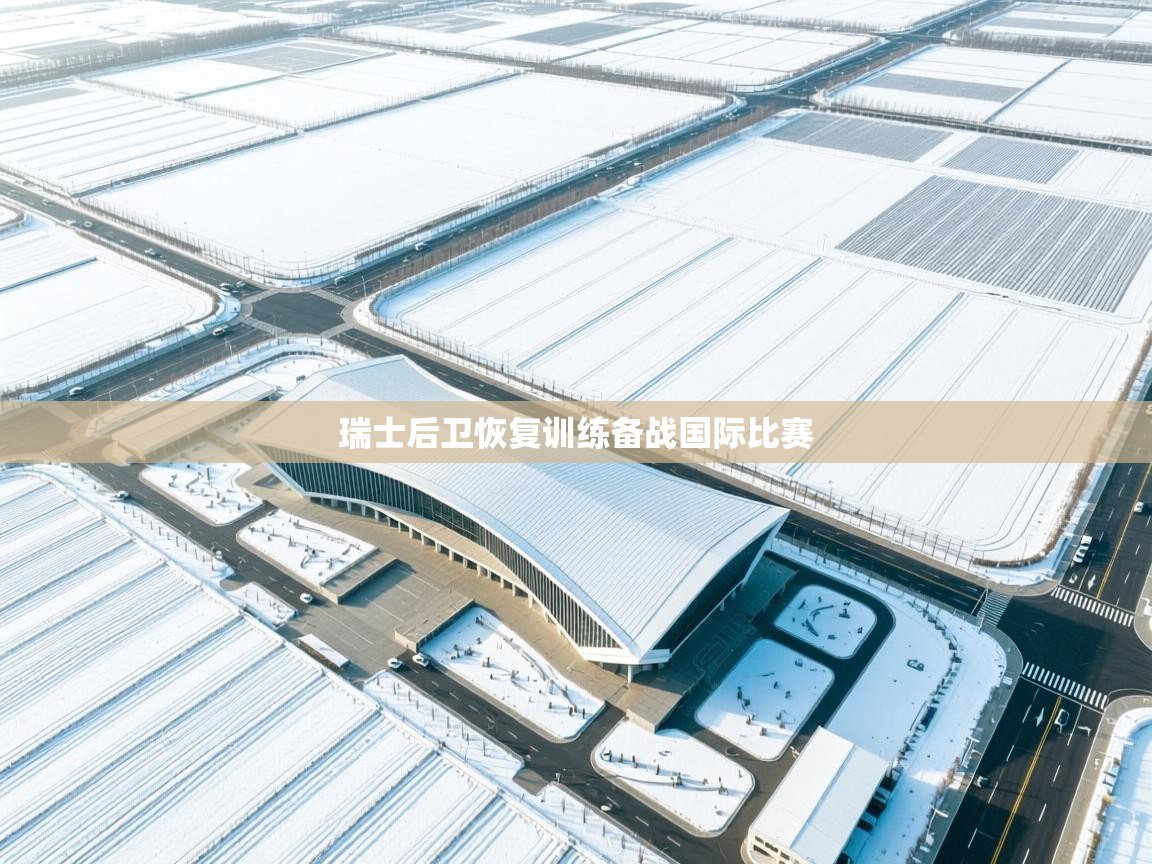 瑞士后卫恢复训练备战国际比赛  第2张