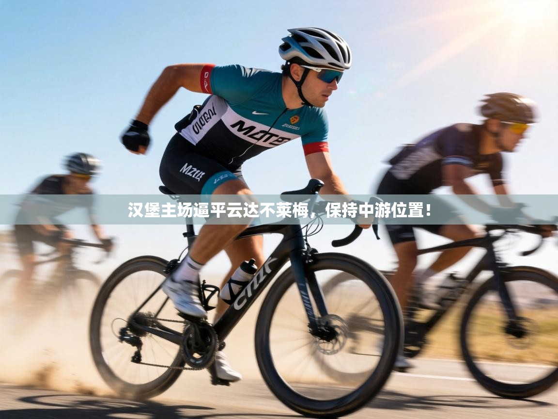 汉堡主场逼平云达不莱梅，保持中游位置！