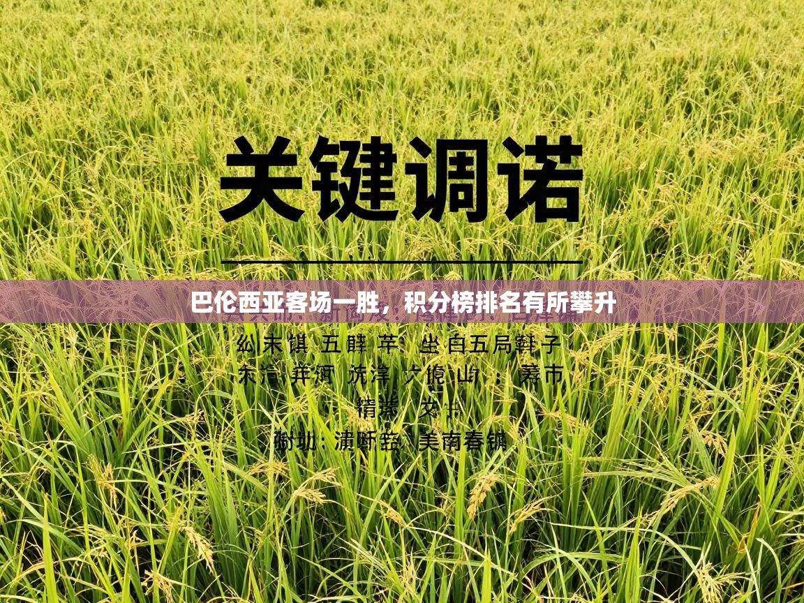 巴伦西亚客场一胜,积分榜排名有所攀升 第1张